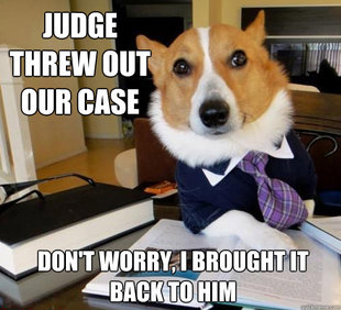 Lawyer Dog