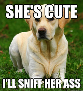 Dog Logic