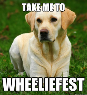 Dog Logic