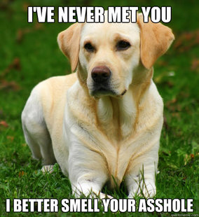 Dog Logic