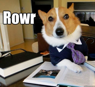 Lawyer Dog