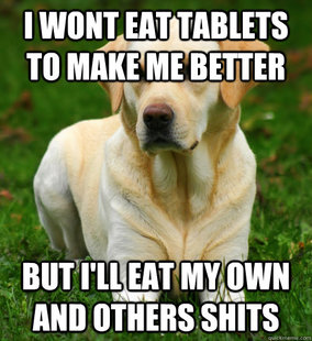 Dog Logic