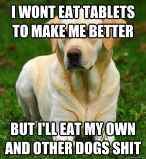 Dog Logic
