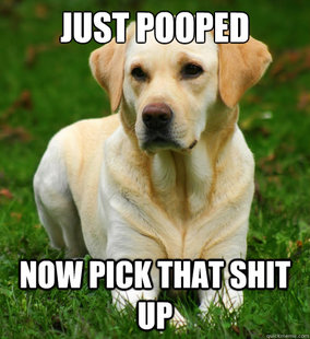 Dog Logic