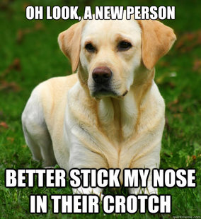 Dog Logic