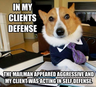 Lawyer Dog
