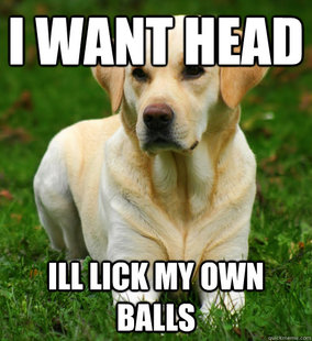 Dog Logic