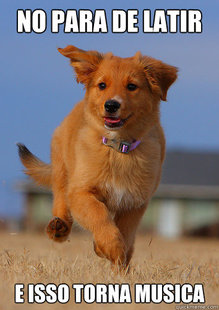 Ridiculously Photogenic Puppy