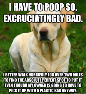 Dog Logic