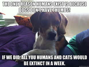 The Most Interesting Beagle In The World