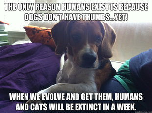 The Most Interesting Beagle In The World