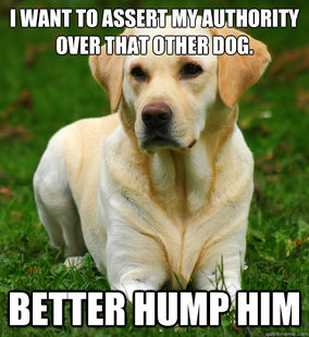 Dog Logic