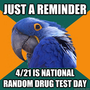 Paranoid Parrot