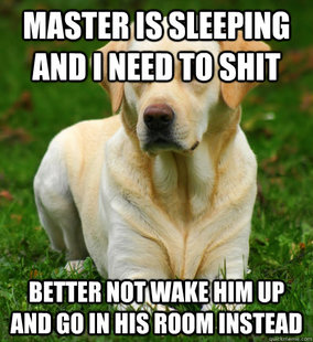 Dog Logic