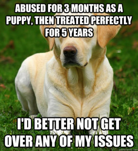 Dog Logic