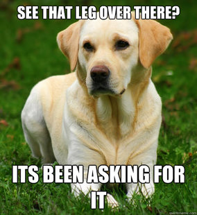 Dog Logic