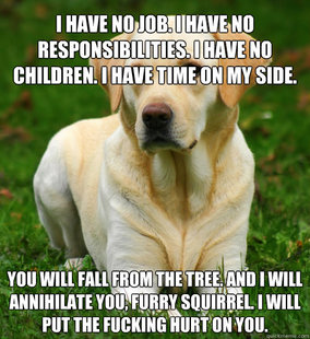 Dog Logic