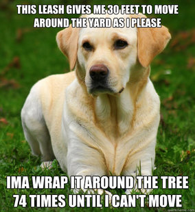 Dog Logic