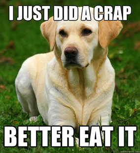 Dog Logic