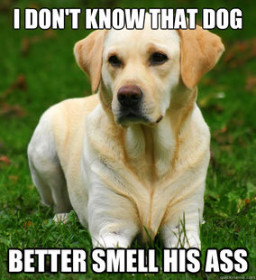 Dog Logic