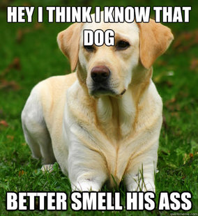 Dog Logic
