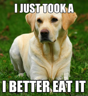 Dog Logic