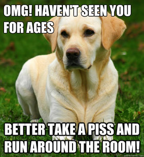 Dog Logic
