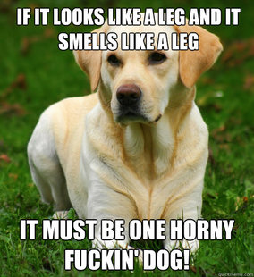Dog Logic