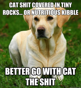 Dog Logic