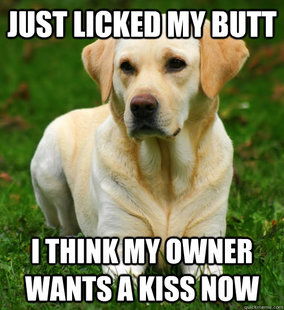 Dog Logic