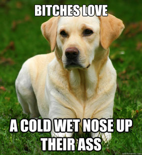 Dog Logic