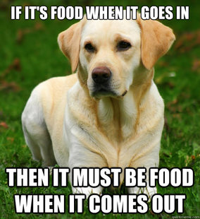 Dog Logic