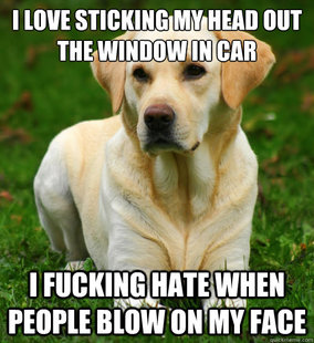 Dog Logic
