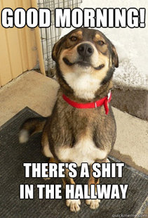 Good Dog Greg