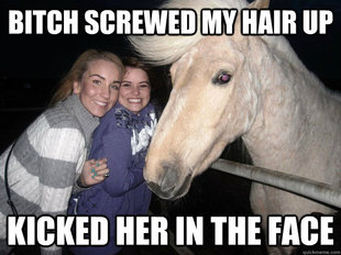 Ridiculously Photogenic Horse