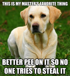 Dog Logic