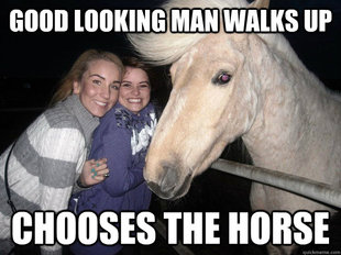 Ridiculously Photogenic Horse