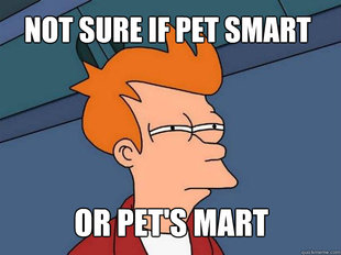 Futurama Fry