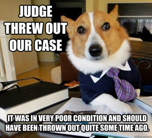 Lawyer Dog
