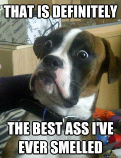 Baffled boxer