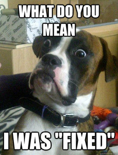 Baffled boxer
