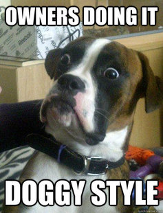 Baffled boxer