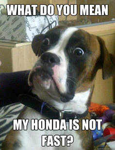 Baffled boxer