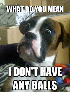 Baffled boxer