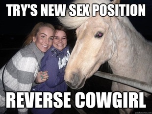 Ridiculously Photogenic Horse