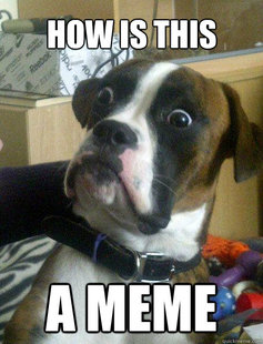 Baffled boxer
