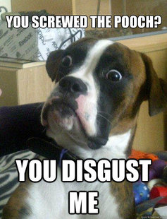 Baffled boxer