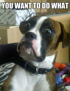 Baffled boxer