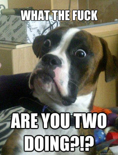 Baffled boxer