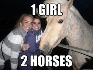 Ridiculously Photogenic Horse